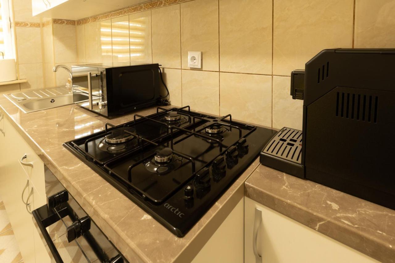 Luxury 2 Bedroom Holiday Apartment Piteşti Dış mekan fotoğraf